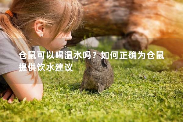仓鼠可以喝温水吗？如何正确为仓鼠提供饮水建议