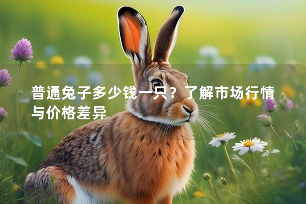 普通兔子多少钱一只？了解市场行情与价格差异