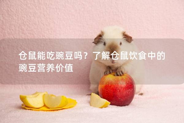 仓鼠能吃豌豆吗？了解仓鼠饮食中的豌豆营养价值
