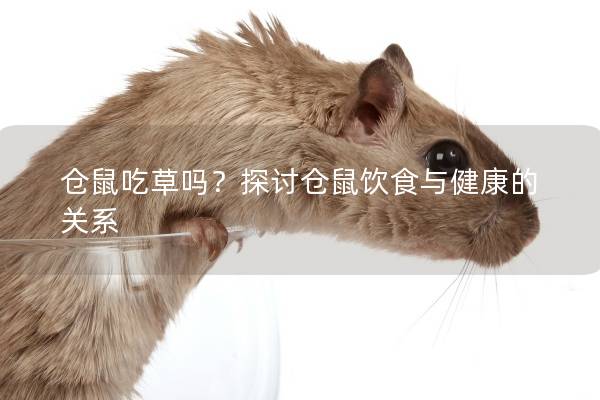 仓鼠吃草吗？探讨仓鼠饮食与健康的关系