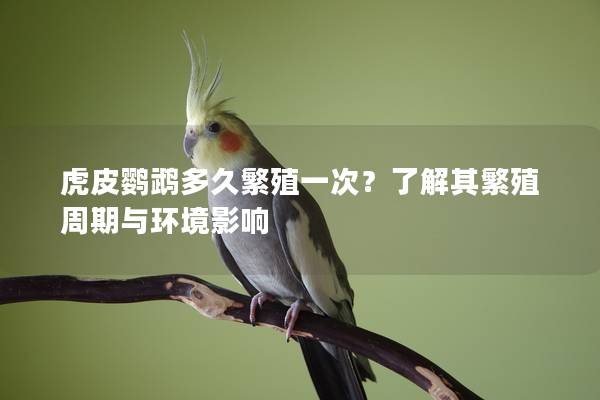 虎皮鹦鹉多久繁殖一次？了解其繁殖周期与环境影响