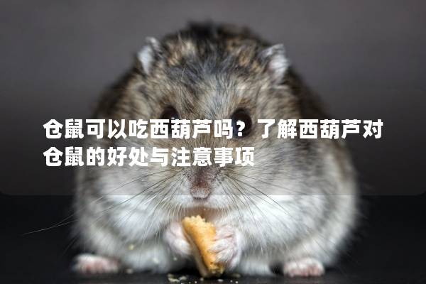 仓鼠可以吃西葫芦吗？了解西葫芦对仓鼠的好处与注意事项