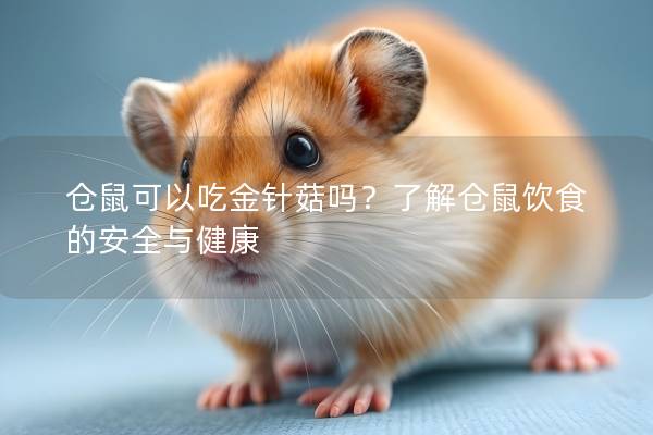 仓鼠可以吃金针菇吗？了解仓鼠饮食的安全与健康