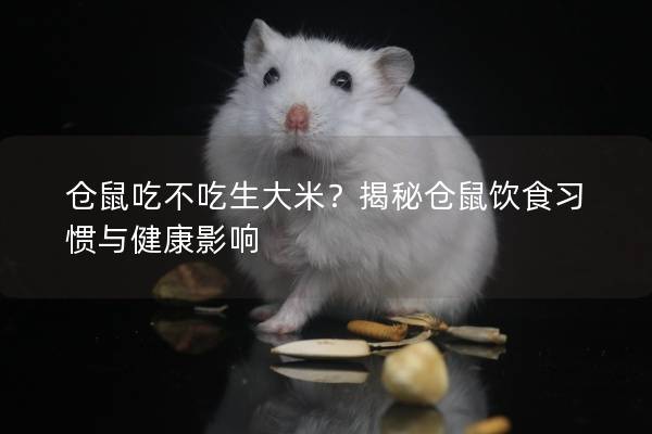 仓鼠吃不吃生大米？揭秘仓鼠饮食习惯与健康影响