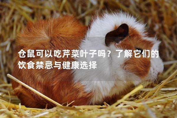 仓鼠可以吃芹菜叶子吗？了解它们的饮食禁忌与健康选择