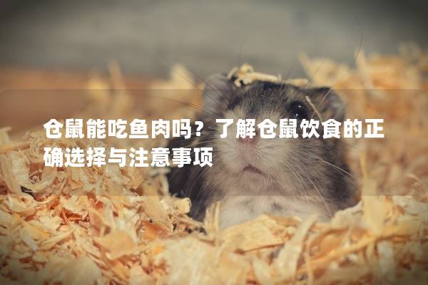 仓鼠能吃鱼肉吗？了解仓鼠饮食的正确选择与注意事项