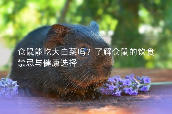 仓鼠能吃大白菜吗？了解仓鼠的饮食禁忌与健康选择