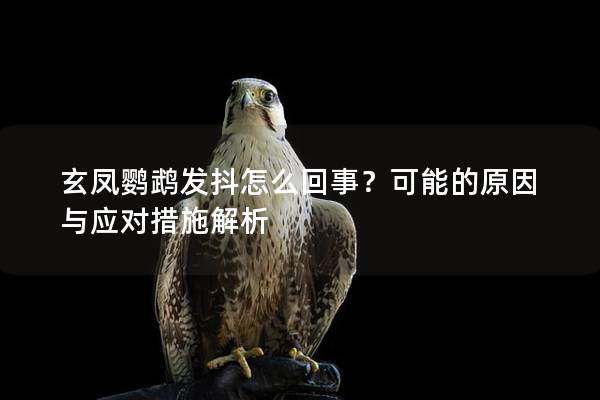 玄凤鹦鹉发抖怎么回事？可能的原因与应对措施解析