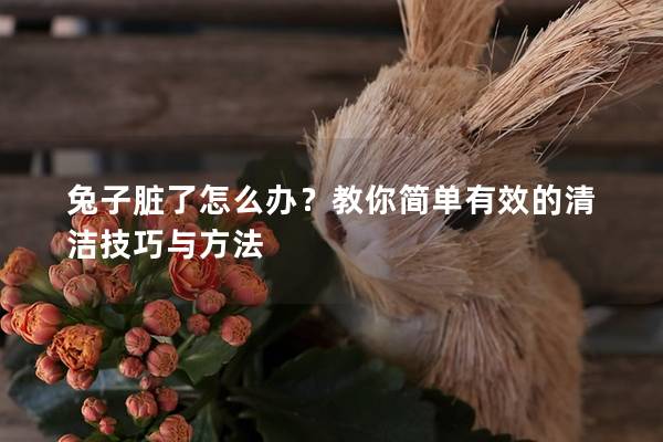 兔子脏了怎么办？教你简单有效的清洁技巧与方法