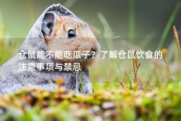 仓鼠能不能吃瓜子？了解仓鼠饮食的注意事项与禁忌