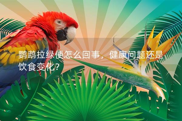 鹦鹉拉绿便怎么回事，健康问题还是饮食变化？