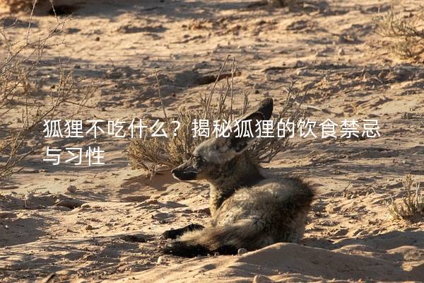 狐狸不吃什么？揭秘狐狸的饮食禁忌与习性
