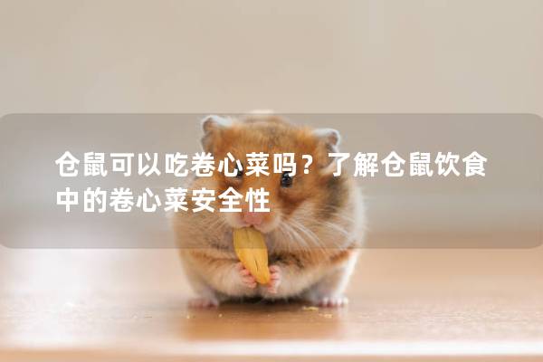 仓鼠可以吃卷心菜吗？了解仓鼠饮食中的卷心菜安全性