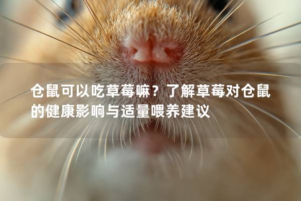 仓鼠可以吃草莓嘛？了解草莓对仓鼠的健康影响与适量喂养建议