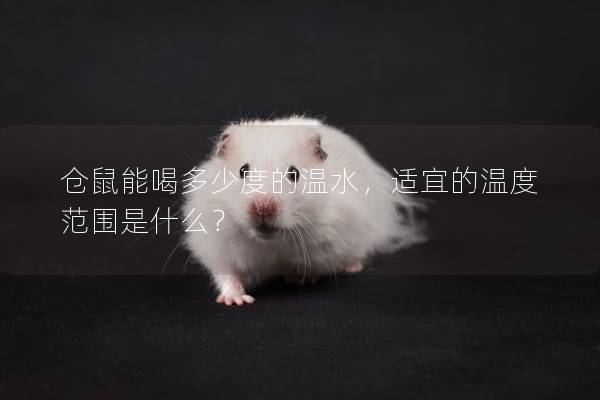 仓鼠能喝多少度的温水，适宜的温度范围是什么？