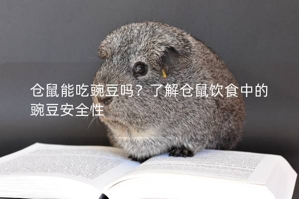仓鼠能吃豌豆吗？了解仓鼠饮食中的豌豆安全性