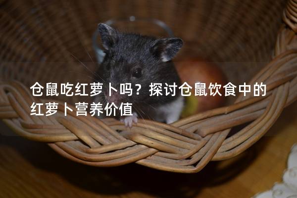 仓鼠吃红萝卜吗？探讨仓鼠饮食中的红萝卜营养价值