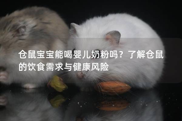仓鼠宝宝能喝婴儿奶粉吗？了解仓鼠的饮食需求与健康风险