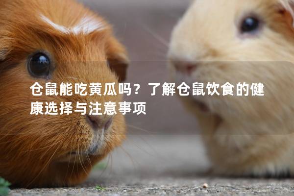 仓鼠能吃黄瓜吗？了解仓鼠饮食的健康选择与注意事项