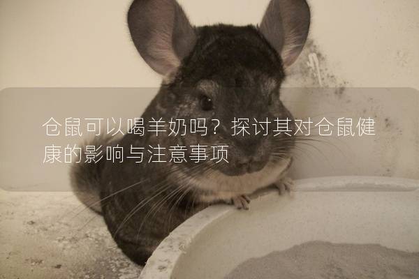 仓鼠可以喝羊奶吗？探讨其对仓鼠健康的影响与注意事项