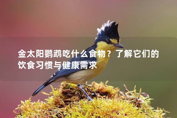 金太阳鹦鹉吃什么食物？了解它们的饮食习惯与健康需求