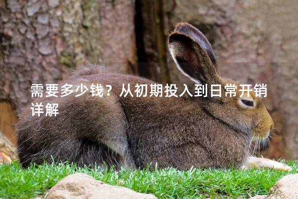 需要多少钱？从初期投入到日常开销详解