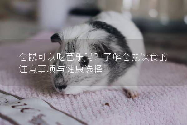 仓鼠可以吃芭乐吗？了解仓鼠饮食的注意事项与健康选择