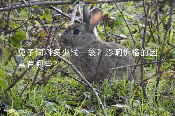 兔子饲料多少钱一袋？影响价格的因素有哪些？