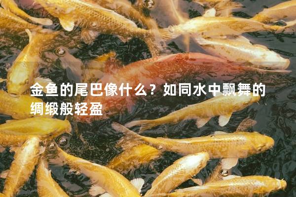 金鱼的尾巴像什么？如同水中飘舞的绸缎般轻盈