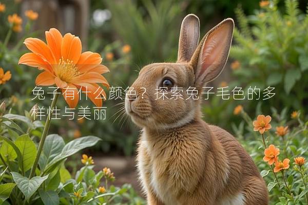 兔子有什么颜色？探索兔子毛色的多样性与美丽