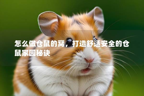 怎么做仓鼠的窝，打造舒适安全的仓鼠家园秘诀