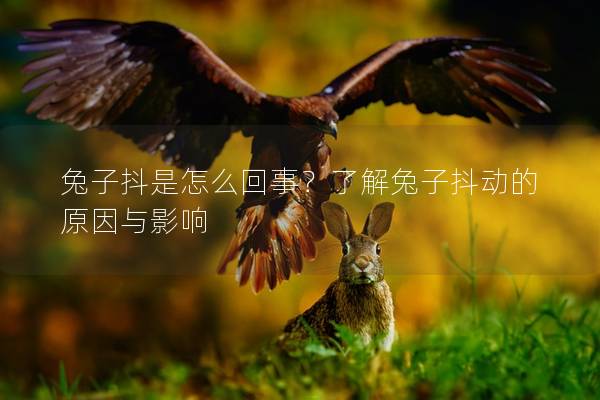 兔子抖是怎么回事？了解兔子抖动的原因与影响