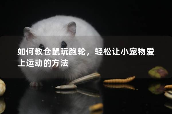 如何教仓鼠玩跑轮，轻松让小宠物爱上运动的方法