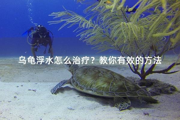 乌龟浮水怎么治疗？教你有效的方法