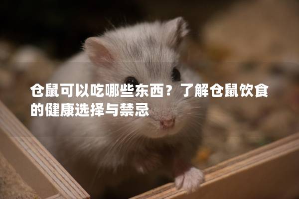 仓鼠可以吃哪些东西？了解仓鼠饮食的健康选择与禁忌