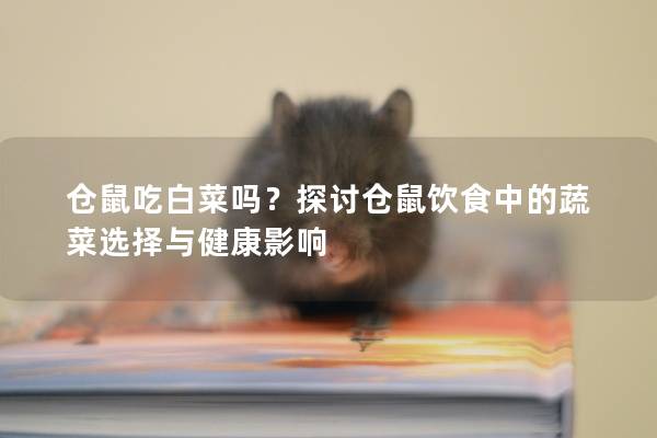 仓鼠吃白菜吗？探讨仓鼠饮食中的蔬菜选择与健康影响