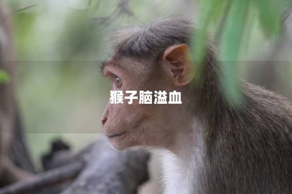 猴子脑溢血