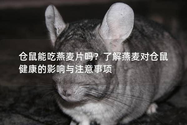 仓鼠能吃燕麦片吗？了解燕麦对仓鼠健康的影响与注意事项