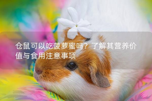 仓鼠可以吃菠萝蜜吗？了解其营养价值与食用注意事项