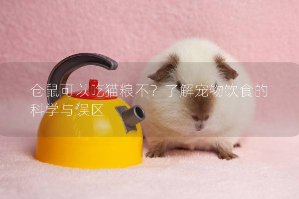 仓鼠可以吃猫粮不？了解宠物饮食的科学与误区