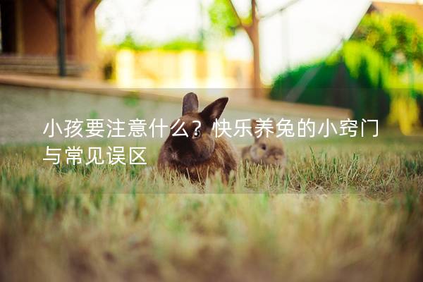 小孩要注意什么？快乐养兔的小窍门与常见误区