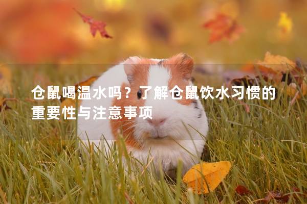 仓鼠喝温水吗？了解仓鼠饮水习惯的重要性与注意事项