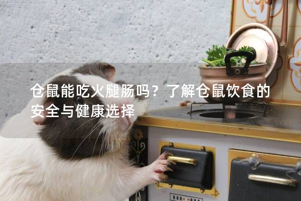 仓鼠能吃火腿肠吗？了解仓鼠饮食的安全与健康选择