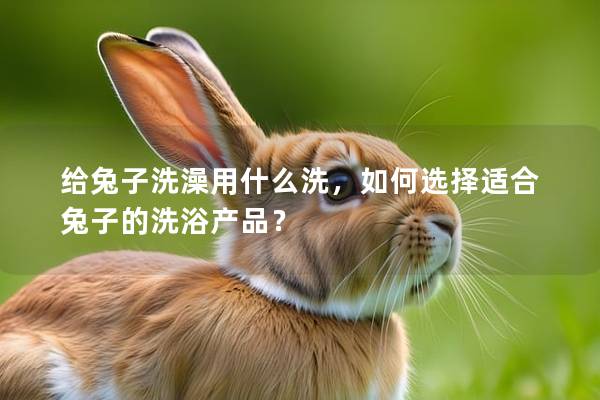 给兔子洗澡用什么洗，如何选择适合兔子的洗浴产品？