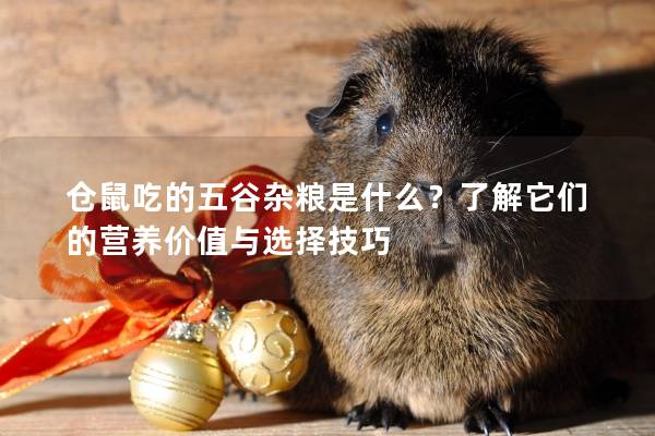 仓鼠吃的五谷杂粮是什么？了解它们的营养价值与选择技巧