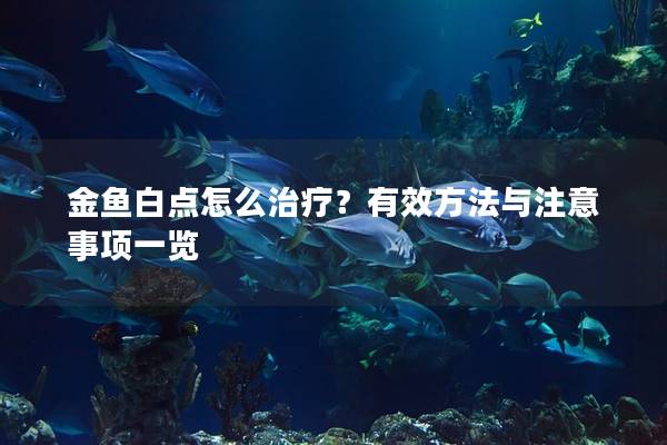 金鱼白点怎么治疗？有效方法与注意事项一览