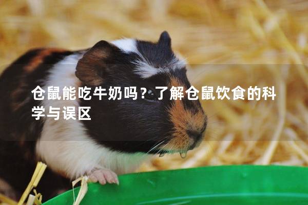 仓鼠能吃牛奶吗？了解仓鼠饮食的科学与误区
