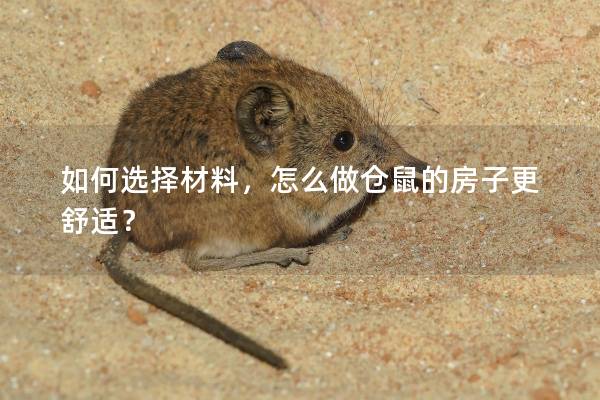 如何选择材料，怎么做仓鼠的房子更舒适？