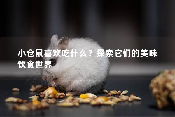 小仓鼠喜欢吃什么？探索它们的美味饮食世界