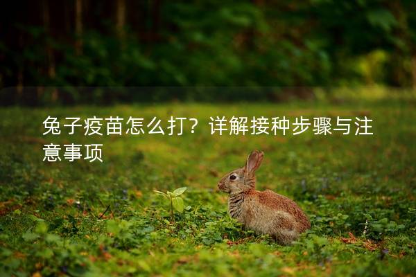 兔子疫苗怎么打？详解接种步骤与注意事项